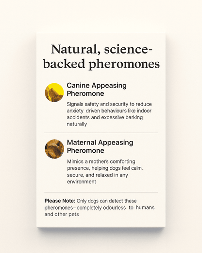 Pandore Pheromone Diffuser™