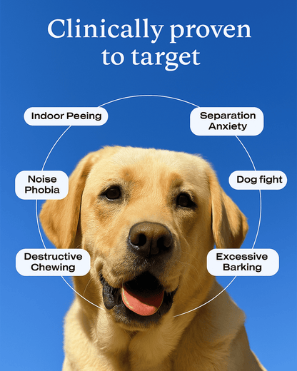 Pandore Pheromone Diffuser™