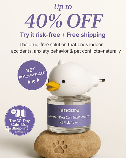 Pandore Pheromone Diffuser™