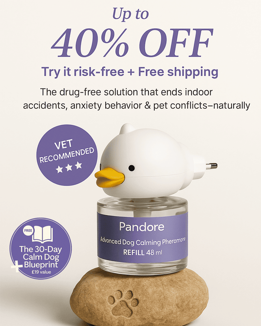 Pandore Pheromone Diffuser™