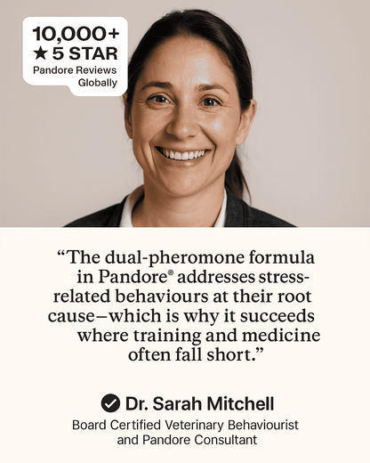 Pandore Pheromone Diffuser™